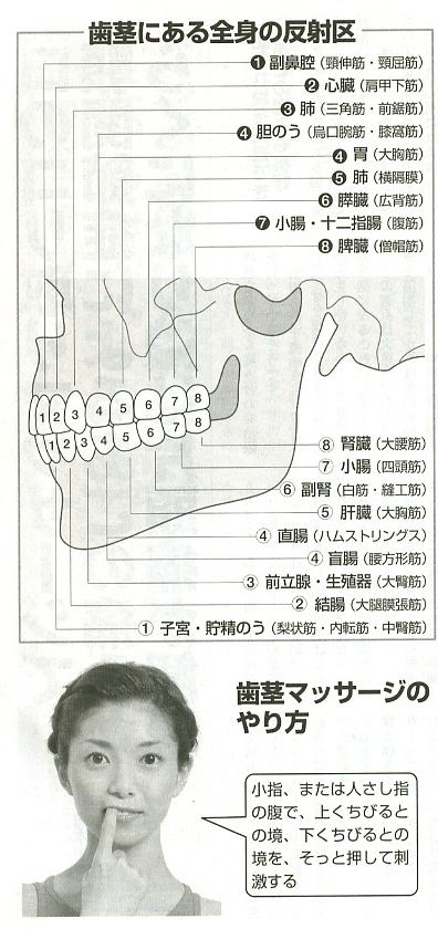がｓｄ