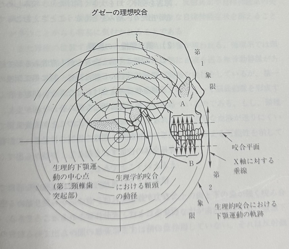 理想咬合
